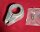 Campagnolo MTB Bremszuggegenhalter, für 1" Steuersätze, silber, NEU