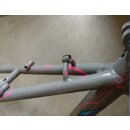 Fuji Suncrest MTB-Stahlrahmen, 4130 CrMo, 56,5cm, grau/bunt, NEU