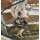 Shimano Deore LX RD-M565 Schaltwerk, long cage, schwarz, aus Neurad