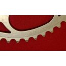 Specialized Kettenblatt, Alu, 110mm Standard Lochkreis,...