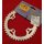 BBB BCR Kettenblatt, CNC-gefräßt, 104mm Lochkreis, 42 Zähne, silber, NEU