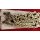 Sram PC1091 Kette, 10-fach, ohne Kettenschloss, NEU
