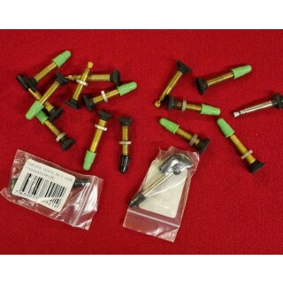 Konvolut Tubeless Ventile, NEU