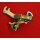 Shimano 7SIS RD-TY22 Schaltwerk, Direktmontage, 7-fach, silber, NEU