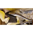 Magura HS77 Rennrad Bremsen, vorne+hinten+Hebel, seltenes Komplettset in Originalverpackung