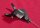 Shimano Acera SL-M3010 STI-Einheit, Schalthebel, links, 2/3-fach, NEU inkl. Zug