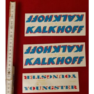 Kalkhoff Aufkleber, Rahmendekor, z.B. für Unterrohr, Oberrohr, türkis, NEU