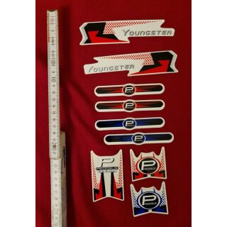 Pegasus Youngster Rahmendekor, NEU