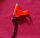 Magura HS22 Johnny T. Bremshebel, links, NEU