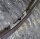 Campagnolo Mirox MTB Felge, roter Aufkleber, 26", silber, 36 Loch, NEU