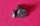 ATI End Plugs Lenkerstopfen, made in USA, verschraubbar, schwarz, NEU