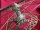 Vorderrad aus Ritchey Vantage Comp Felge mit Edco/Formula Disc-Nabe und 4-Loch Bremsscheibe, 26", NEU