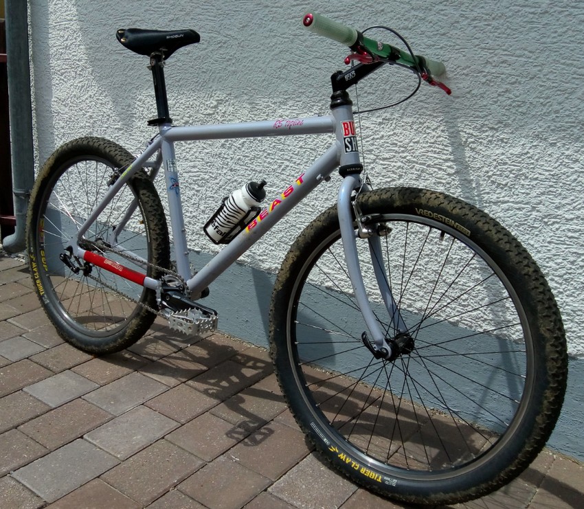 RS Bikes Beast Mountainbike